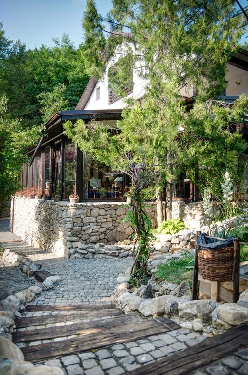 Pensiune-Restaurant Tara Luanei Sarata-Monteoru Luaran gambar